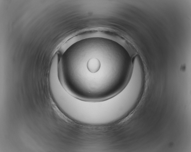 X0000116281417200912211809