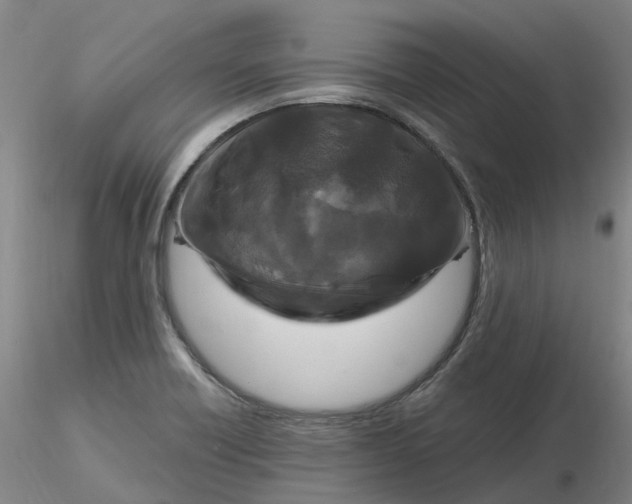 X0000116281418200912211810