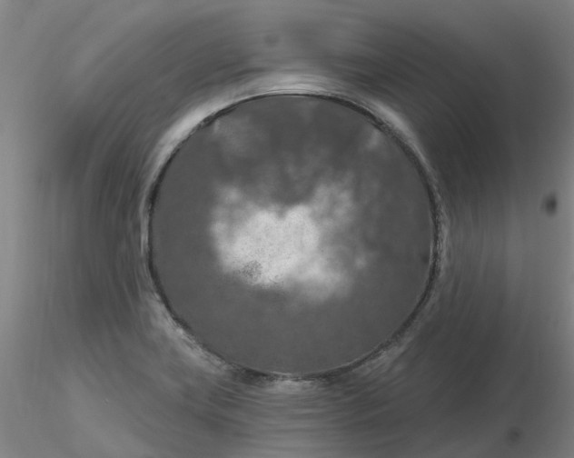 X0000116281419200912211810