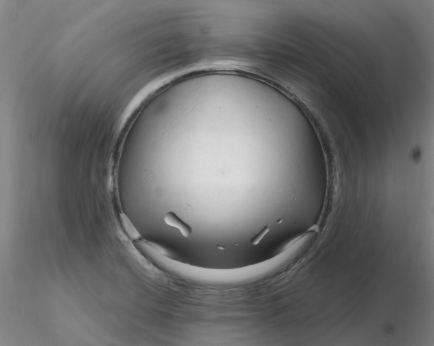 X0000116281420200912211810