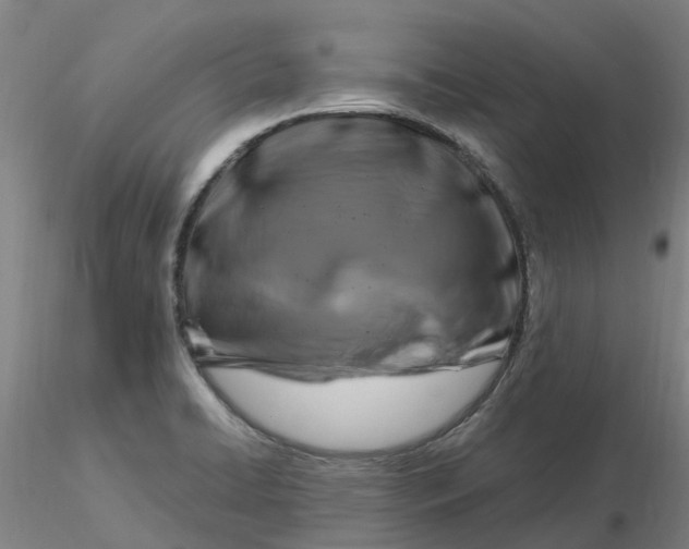 X0000116281422200912211810