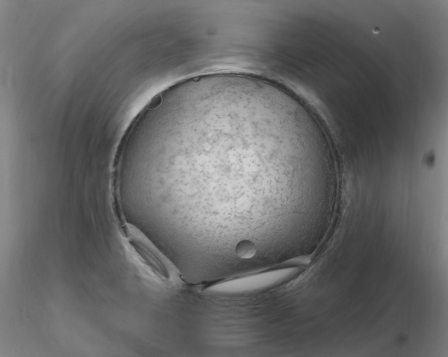 X0000116281423200912211810