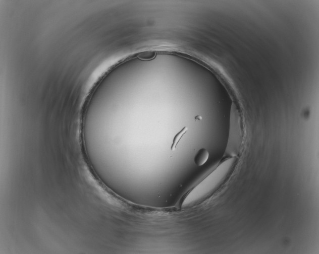 X0000116281424200912211810