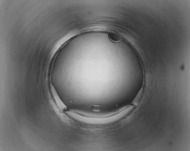 X0000116281426200912211810