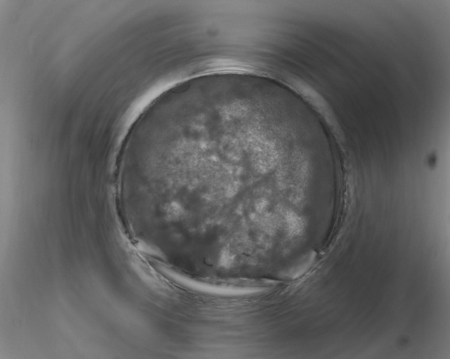 X0000116281427200912211810