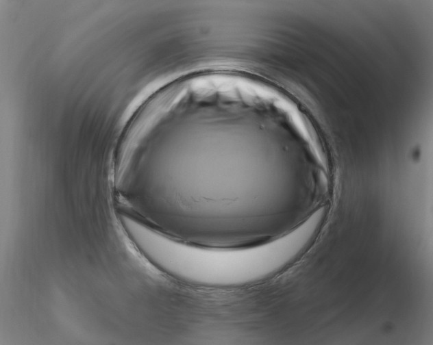 X0000116281428200912211810