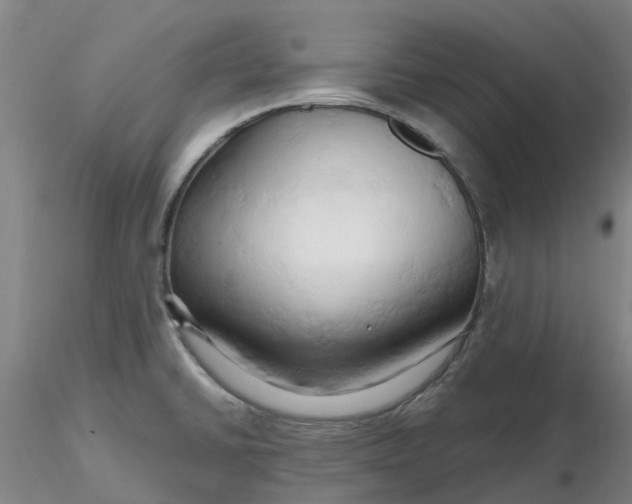 X0000116281430200912211810