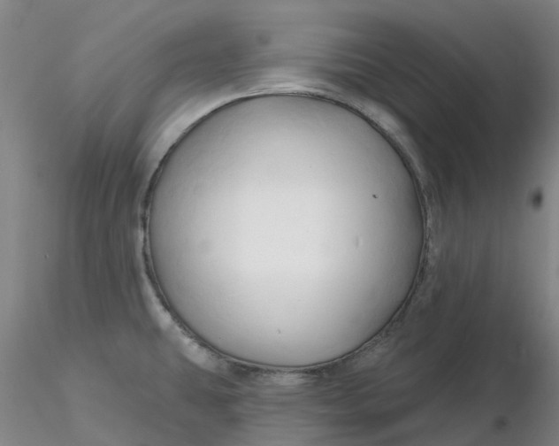 X0000116281431200912211810