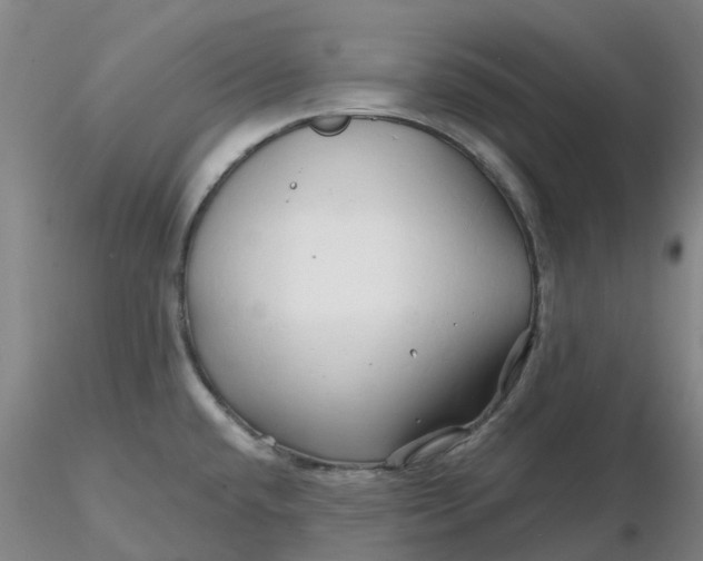 X0000116281432200912211810