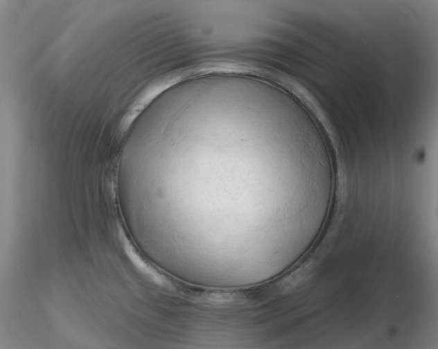 X0000116281433200912211810