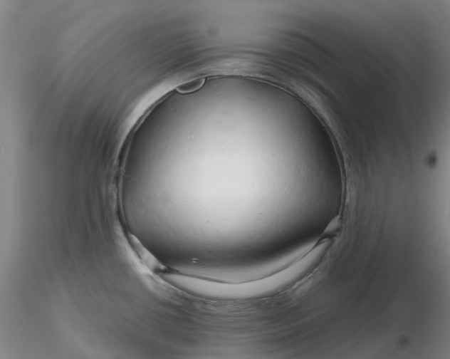 X0000116281434200912211810