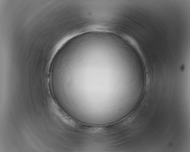 X0000116281435200912211810