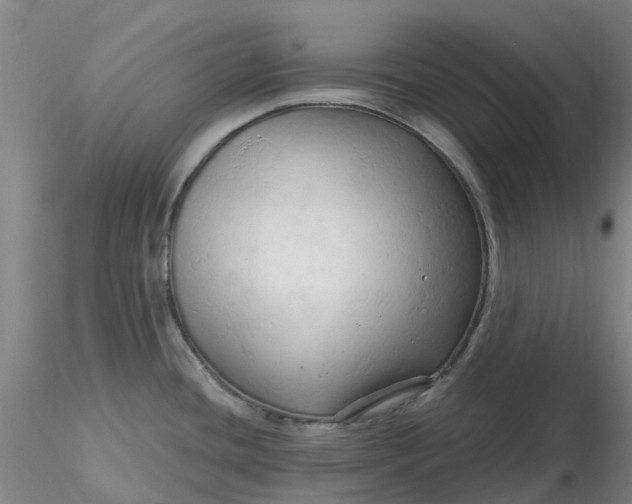 X0000116281436200912211810