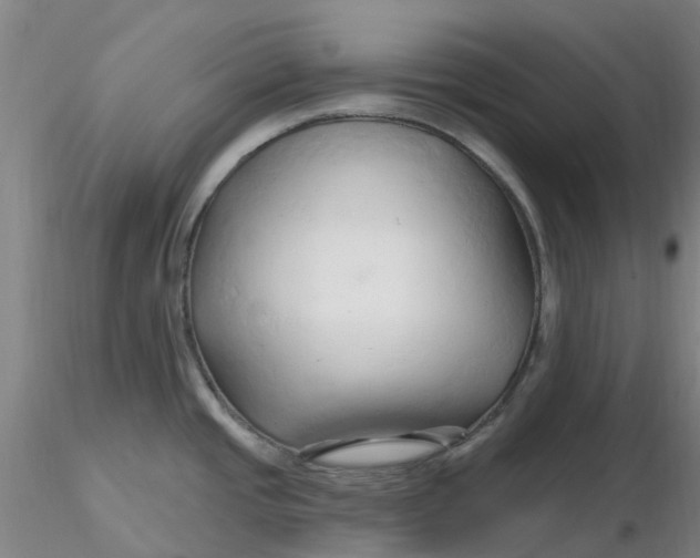 X0000116281437200912211810