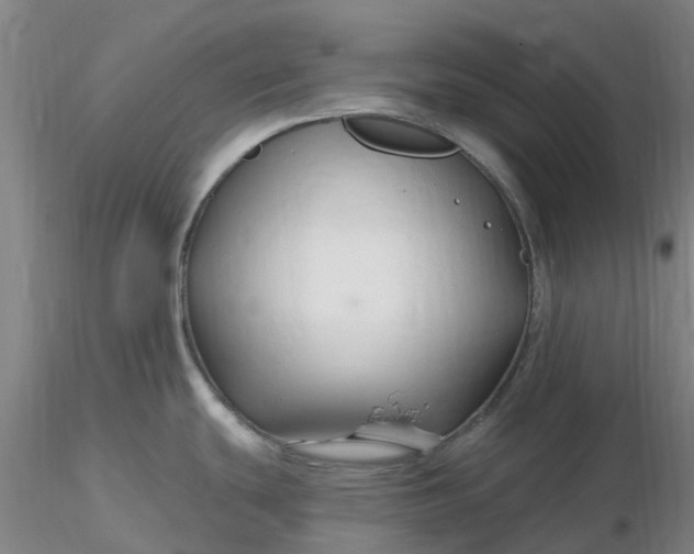 X0000116281439200912211810