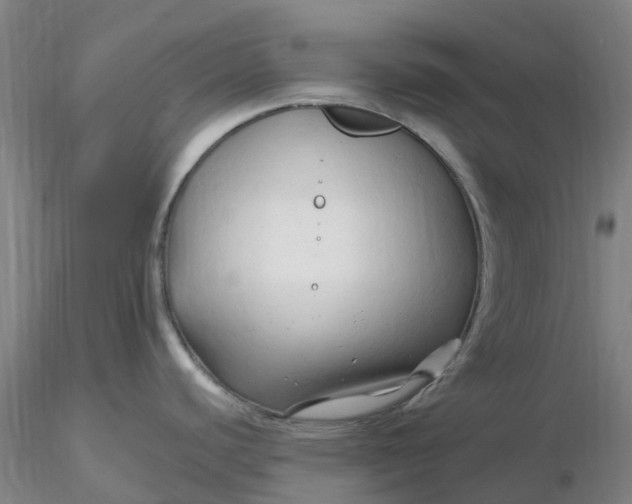 X0000116281440200912211810