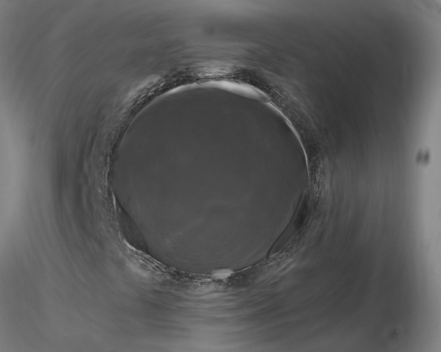 X0000116281441200912211809