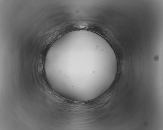 X0000116281442200912211809