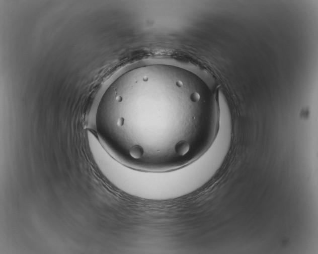 X0000116281443200912211809