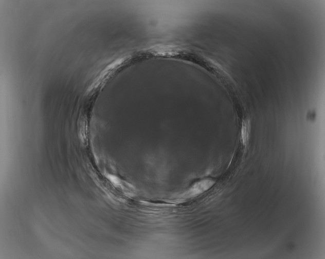 X0000116281444200912211809