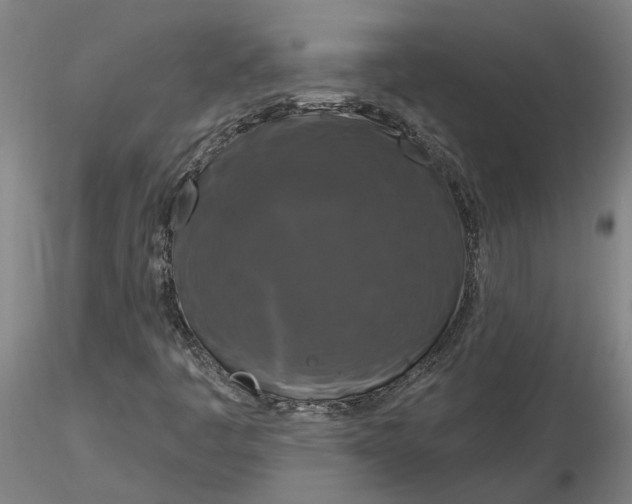 X0000116281445200912211809