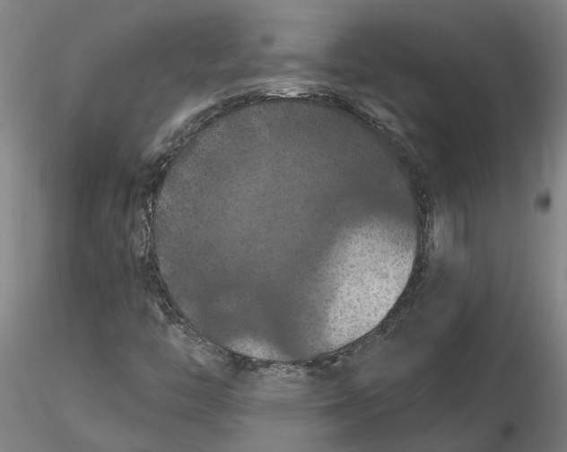 X0000116281446200912211809