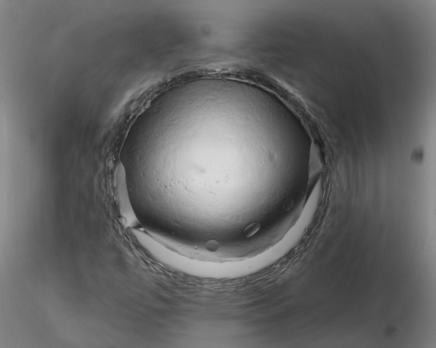 X0000116281447200912211809