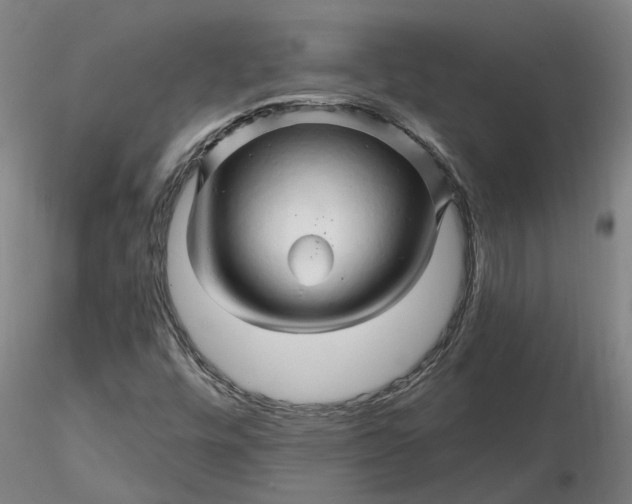 X0000116281448200912211809