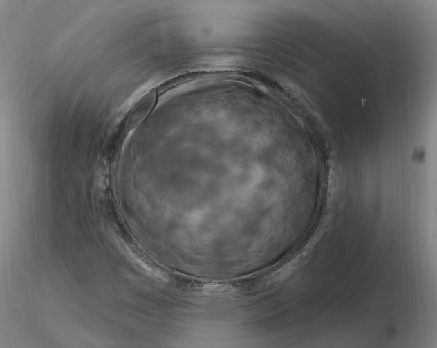 X0000116281449200912211809