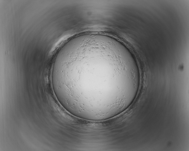 X0000116281451200912211809