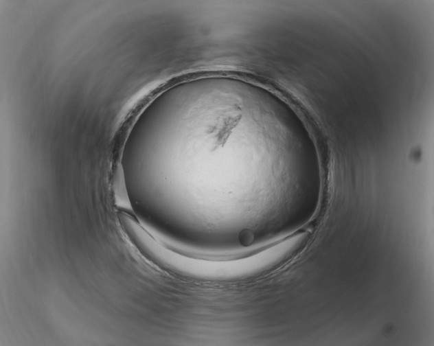 X0000116281452200912211809