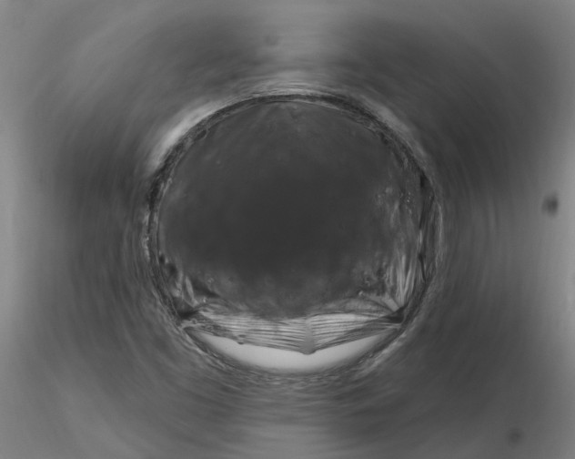 X0000116281453200912211809