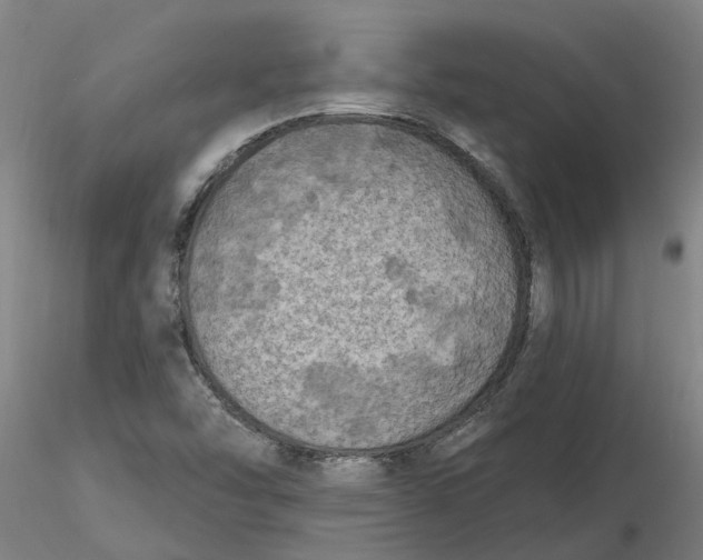 X0000116281454200912211809