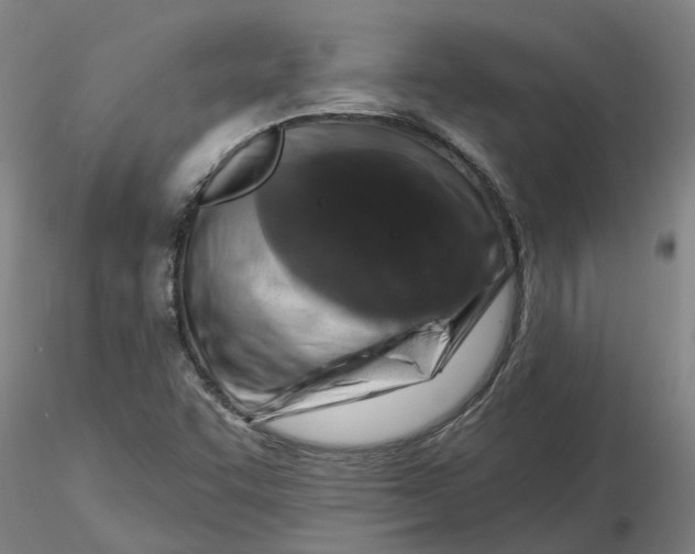 X0000116281455200912211809