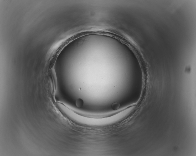 X0000116281456200912211809