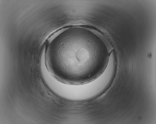 X0000116281457200912211809