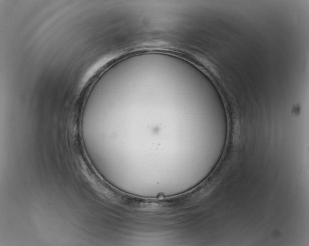 X0000116281458200912211809