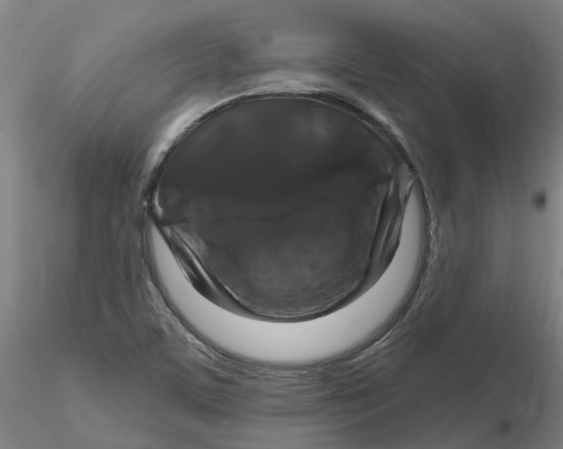 X0000116281459200912211809