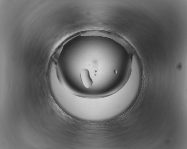 X0000116281460200912211809