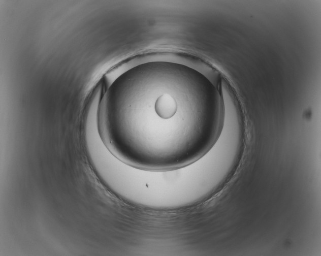 X0000116281461200912211809