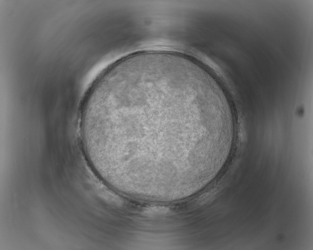 X0000116281462200912211809