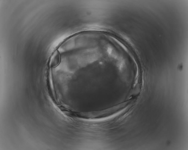 X0000116281463200912211809