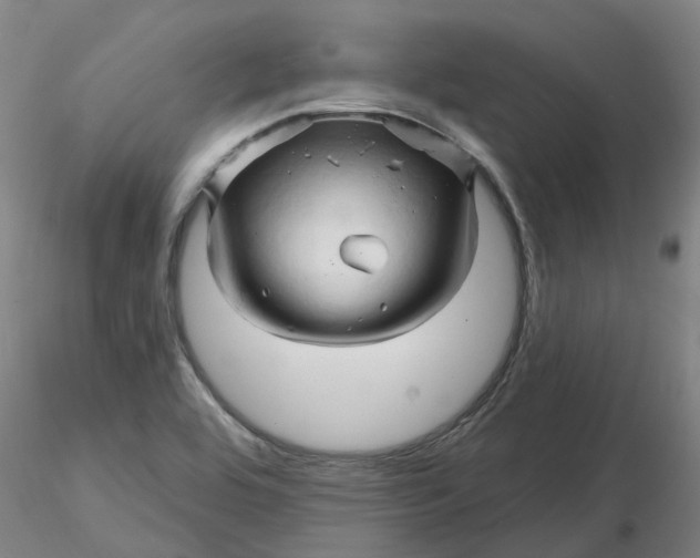 X0000116281464200912211809