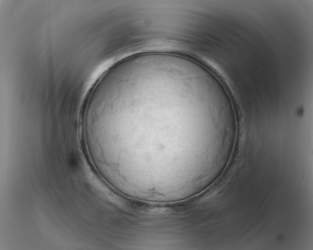 X0000116281467200912211809