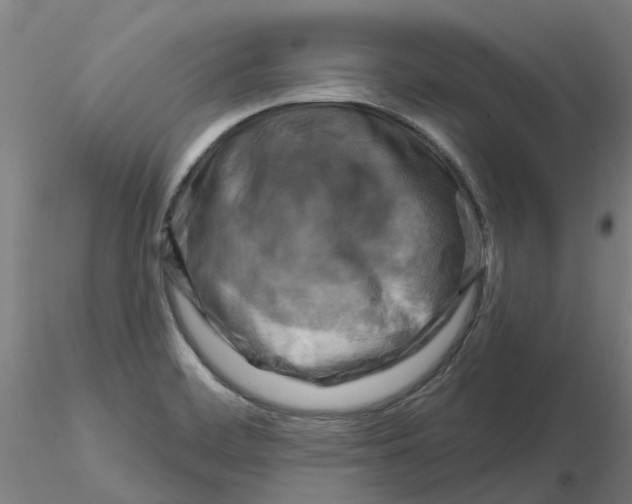 X0000116281468200912211809