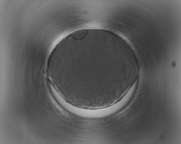 X0000116281469200912211809