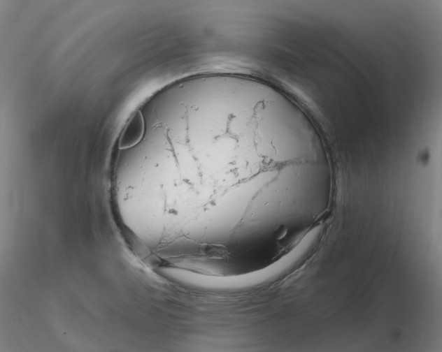 X0000116281471200912211809