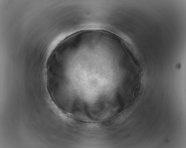 X0000116281472200912211809