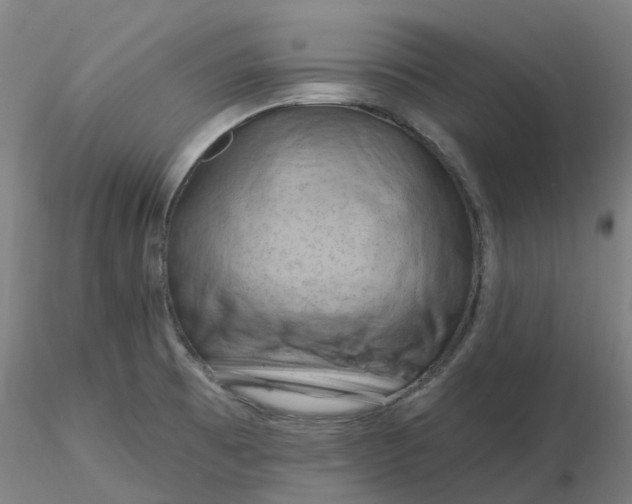 X0000116281473200912211809