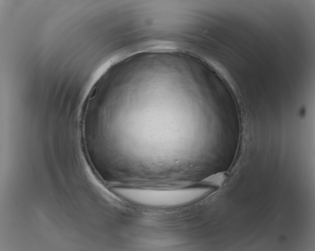 X0000116281475200912211809